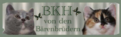 Cattery von den B&auml;renbrudern