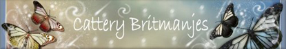 Cattery Britmanjes