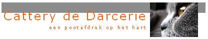 Cattery de Darcerie