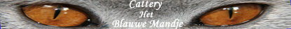 Cattery Het Blauwe Mandje